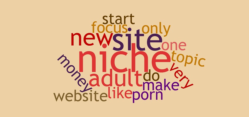 How To Choose A Niche For Your Adult Website