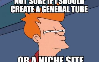 What I Should Create A General Tube Or An Adult Niche Site